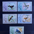 Отдается в дар Птицы. Почтовые марки Кубы.