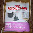Отдается в дар Royal Canin (Роял Канин) British Shorthair Kitten — Корм для котят британской короткошерстной кошки