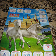 Отдается в дар Календари «Лошади» за 2014 год.