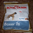 Отдается в дар Royal Canin (Роял Канин) Boxer Adult 26 — Корм для собак породы боксер от 15 месяцев