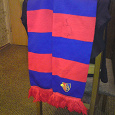 Отдается в дар Фанатский шарф/роза футбольного клуба Базель