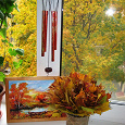 Отдается в дар Осенний натюрморт — украшаем дом