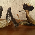 Отдается в дар Фигурки птичек из рога (60-е годы прошлого века)
