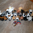 Отдается в дар Собачки The Dog Collection