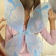 Отдается в дар Крылья бабочки от костюма карнавального