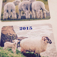 Отдается в дар Календарики с овечками