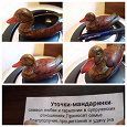 Отдается в дар Уточка мандаринка