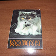 Отдается в дар Набор открыток «Кошки»