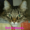 Отдается в дар Кот в мешке (бижутерия)