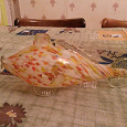 Отдается в дар Рыба из цветного стекла СССР (наверное, это сосуд для спиртного?).