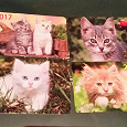 Отдается в дар Кошко-собаковые календарики 2017 года