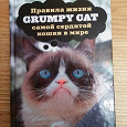 Отдается в дар Grumpy Cat. Правила жизни самой сердитой кошки в мире