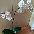 Отдается в дар Цветок искусственный Орхидея Фаленопсис