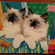 Отдается в дар Календарики с кошками.