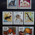 Отдается в дар Фауна. Почтовые марки Венгрии и Чехословакии.