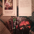 Отдается в дар набор открыток «Комнатные растения»