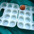 Отдается в дар Многоразовый контейнер для переноски яиц