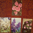 Отдается в дар открытки с цветами 1972-75