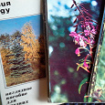Отдается в дар Набор открыток -Экскурсия в природу