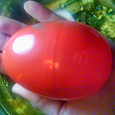 Отдается в дар пластмассовое яйцо от киндера.