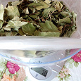 Отдается в дар Травы, листья (для чая или лекарственных сборов)