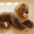 Отдается в дар Мягкая игрушка лев большой.