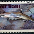 Отдается в дар Почтовые марки Акулы