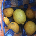 Отдается в дар Лимоны 6 штук азербайджанские