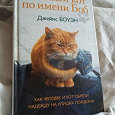 Отдается в дар Книга: Уличный кот по имени Боб