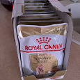 Отдается в дар Собачий корм Royal Canin паштет для йорков