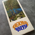 Отдается в дар Набор открыток «Таёжные Цветы», 1974