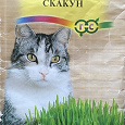 Отдается в дар Трава для кошек «Скакун» 10 г. (с.г. до 2025г)