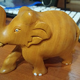 Отдается в дар Слон из Индии