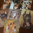 Отдается в дар набор открыток Собаки