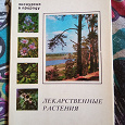 Отдается в дар Набор открыток «Экскурсия в природу. Лекарственные растения»