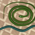 Отдается в дар Резиновые змеи