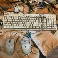 Отдается в дар Компьютерные мышки + клавиатура