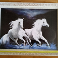 Отдается в дар Картина «Бегущие лошади»