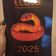 Отдается в дар Календарь 2025