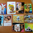 Отдается в дар карманные календарики кошки собаки