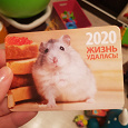 Отдается в дар Календарик с крысой