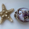 Отдается в дар Морская звезда и сувенир-ракушка «Сочи»