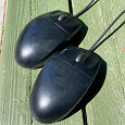 Отдается в дар Мышь Logitech Optical Mouse SBF-90
