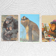 Отдается в дар ***Календарики — обезьяны