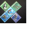 Отдается в дар Фауна Чёрного моря. Почтовые марки СССР.