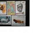 Отдается в дар Фауна на почтовых марках всего мира.