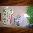 Отдается в дар трава для кошек «Скакун»