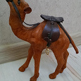 Отдается в дар Верблюд из Туниса