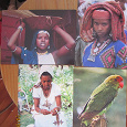 Отдается в дар замечательные открытки из… Эфиопии! =)