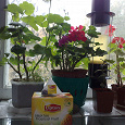 Отдается в дар Чай Lipton Tropical Fruit